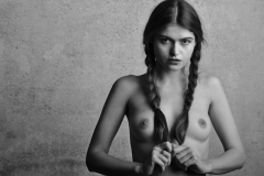 Vlada